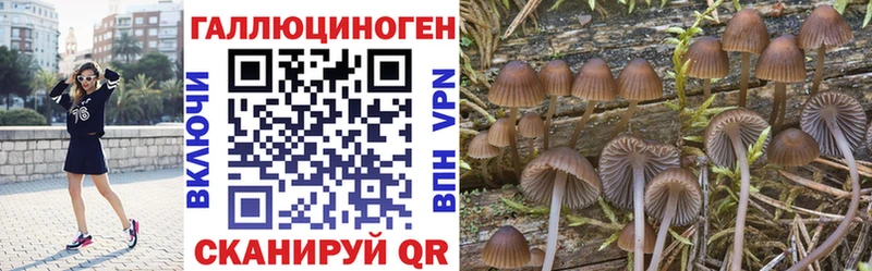 Галлюциногенные грибы мицелий Гвардейск
